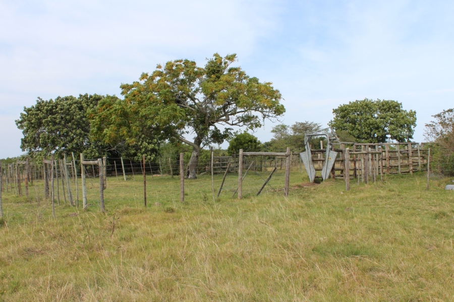 0 Bedroom Property for Sale in Bathurst Eastern Cape